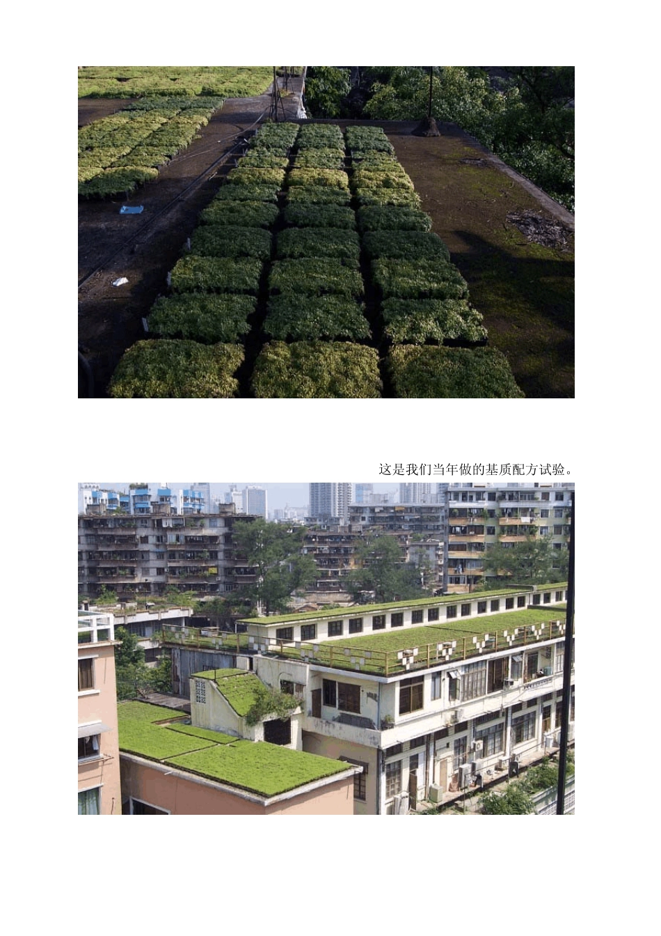 屋顶花园的施工方法_第3页