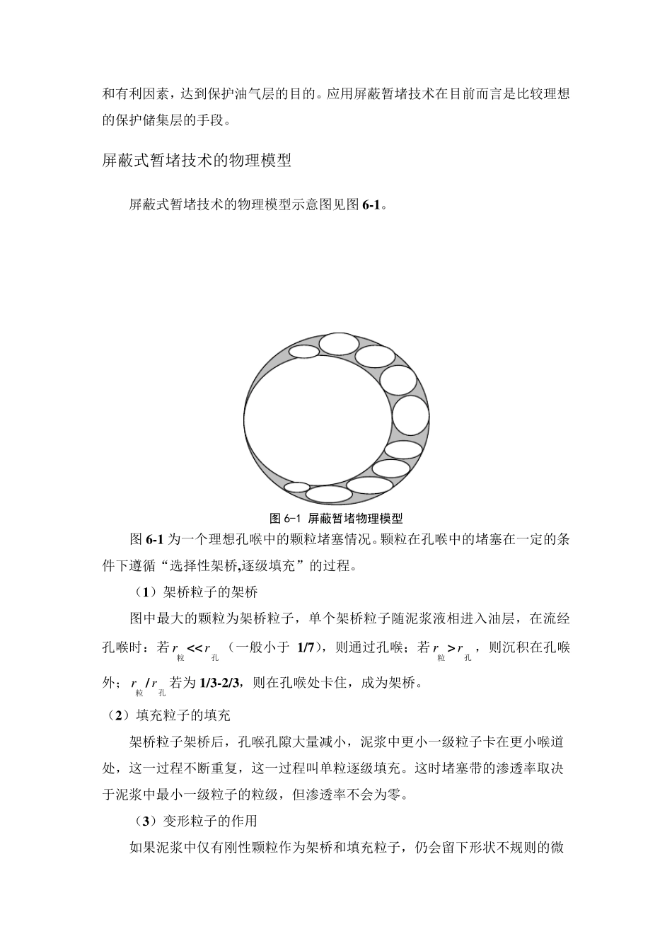 屏蔽暂堵技术_第2页