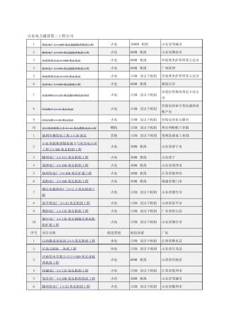 山东电建3公司