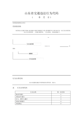 山东省2013年新交通违法行为代码
