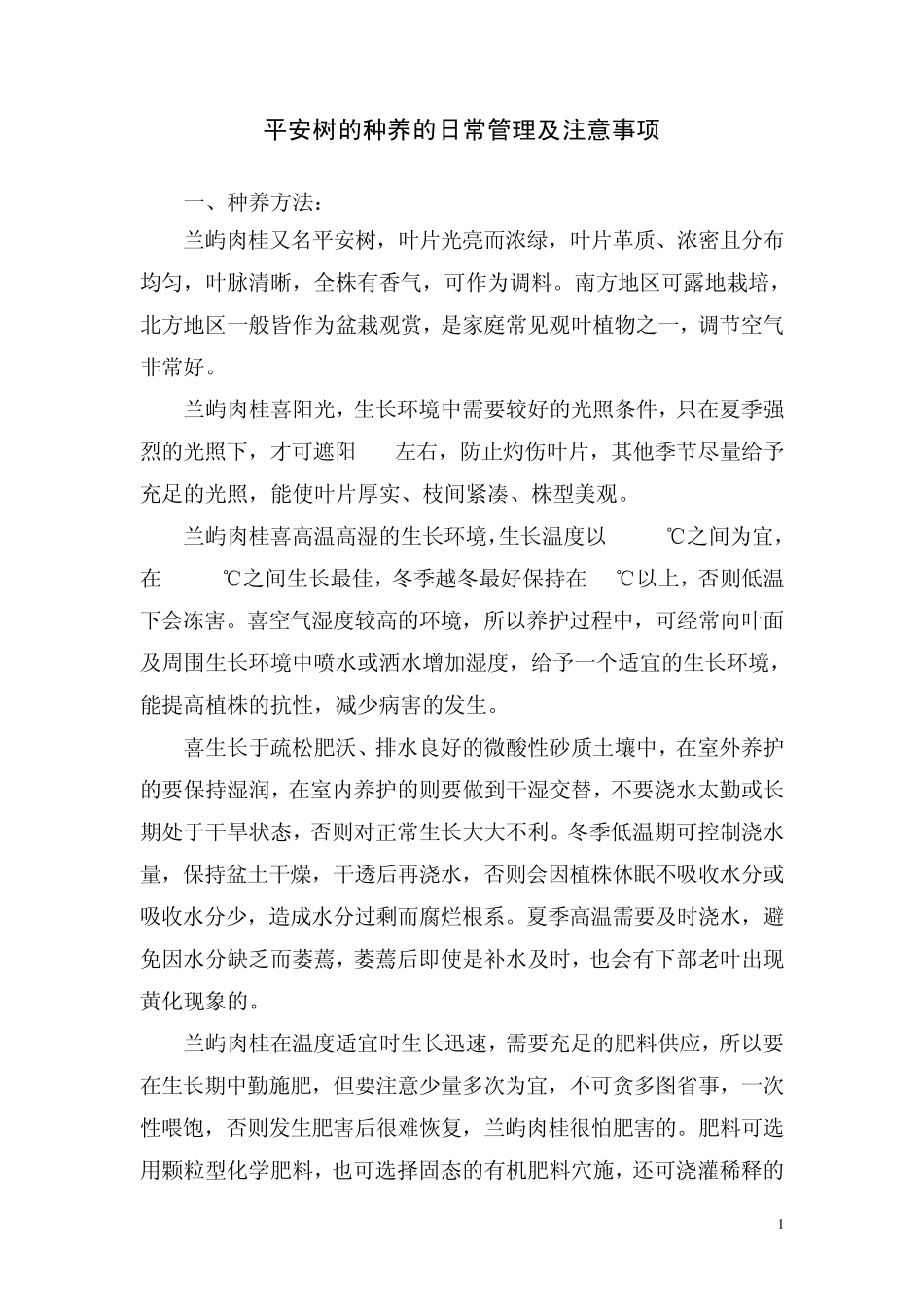 平安树的种养的日常管理及注意事项_第1页