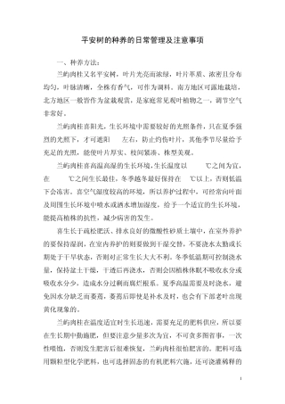 平安树的种养的日常管理及注意事项