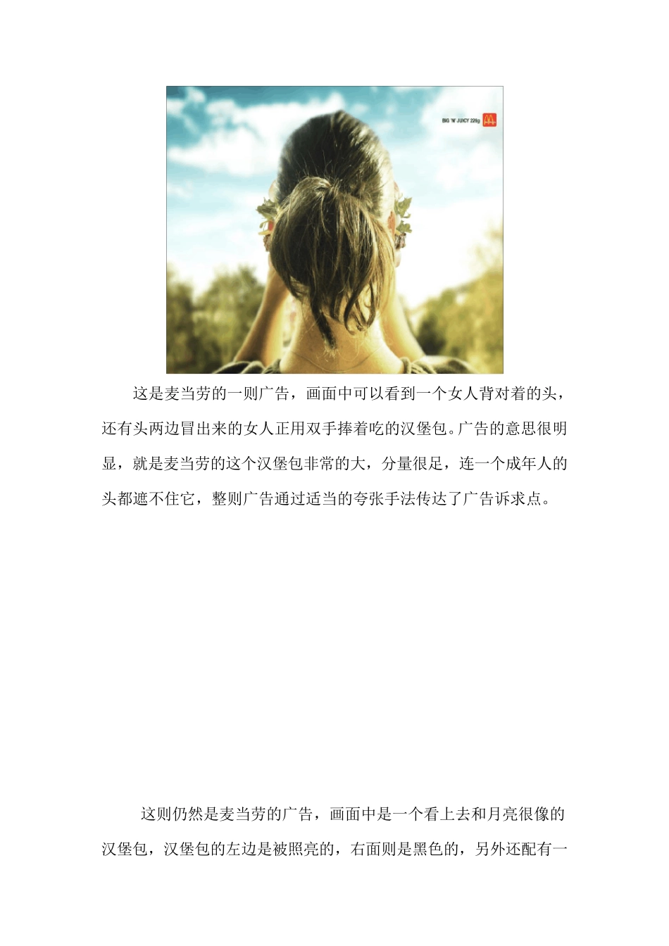 平面广告案例赏析_第3页