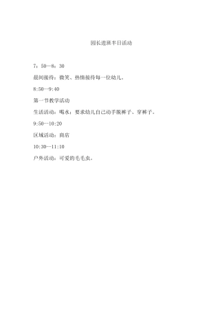 幼儿园园长进班半日活动