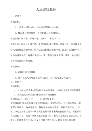 幼儿园大班游戏载体