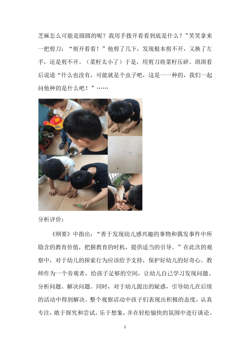 幼儿园观察记录：自然角_第2页