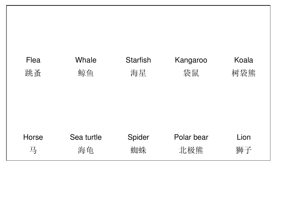 幼儿童趣英语单词彩色图片卡可以自行添加打印动物篇_第3页