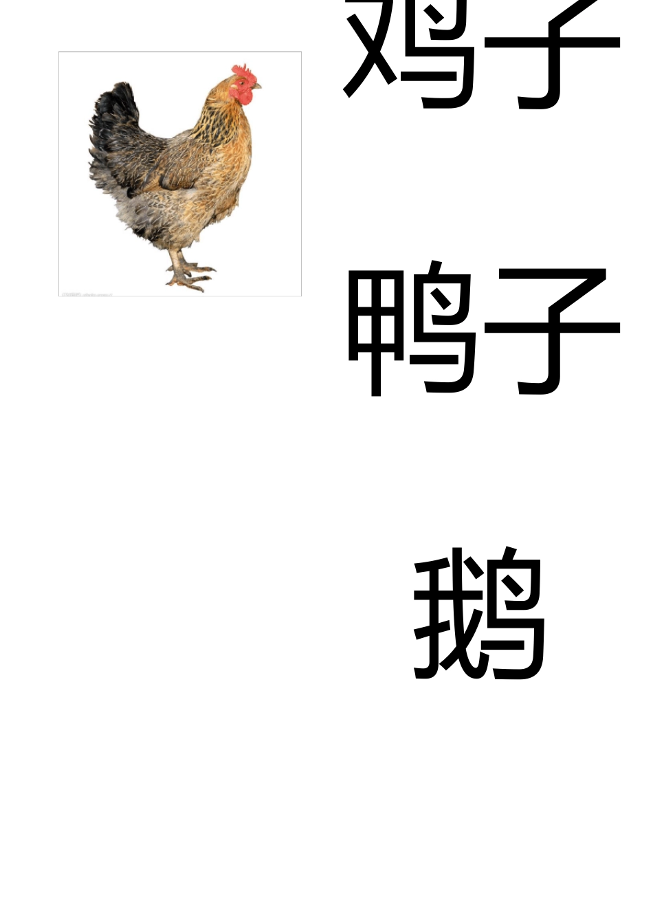 幼儿识字卡片大全配图：动物类、鱼类、植物类、物品类_第1页