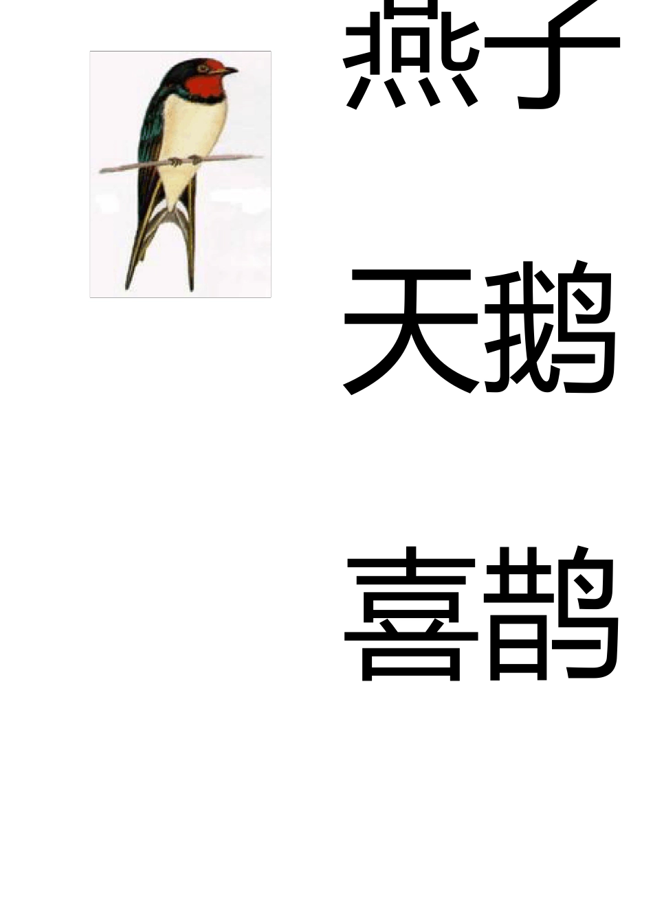 幼儿识字卡片配图：鸟类_第1页