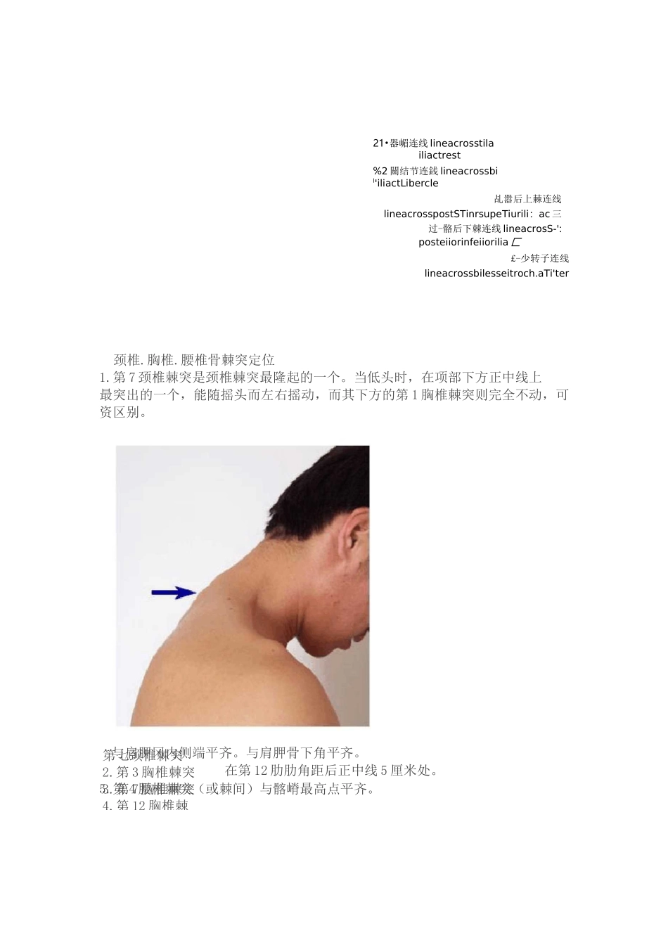 脊柱的棘突与椎体的定位_第2页