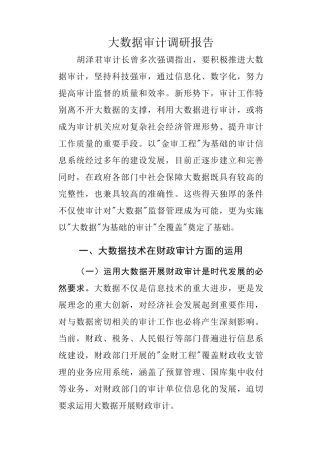 大数据审计调研报告