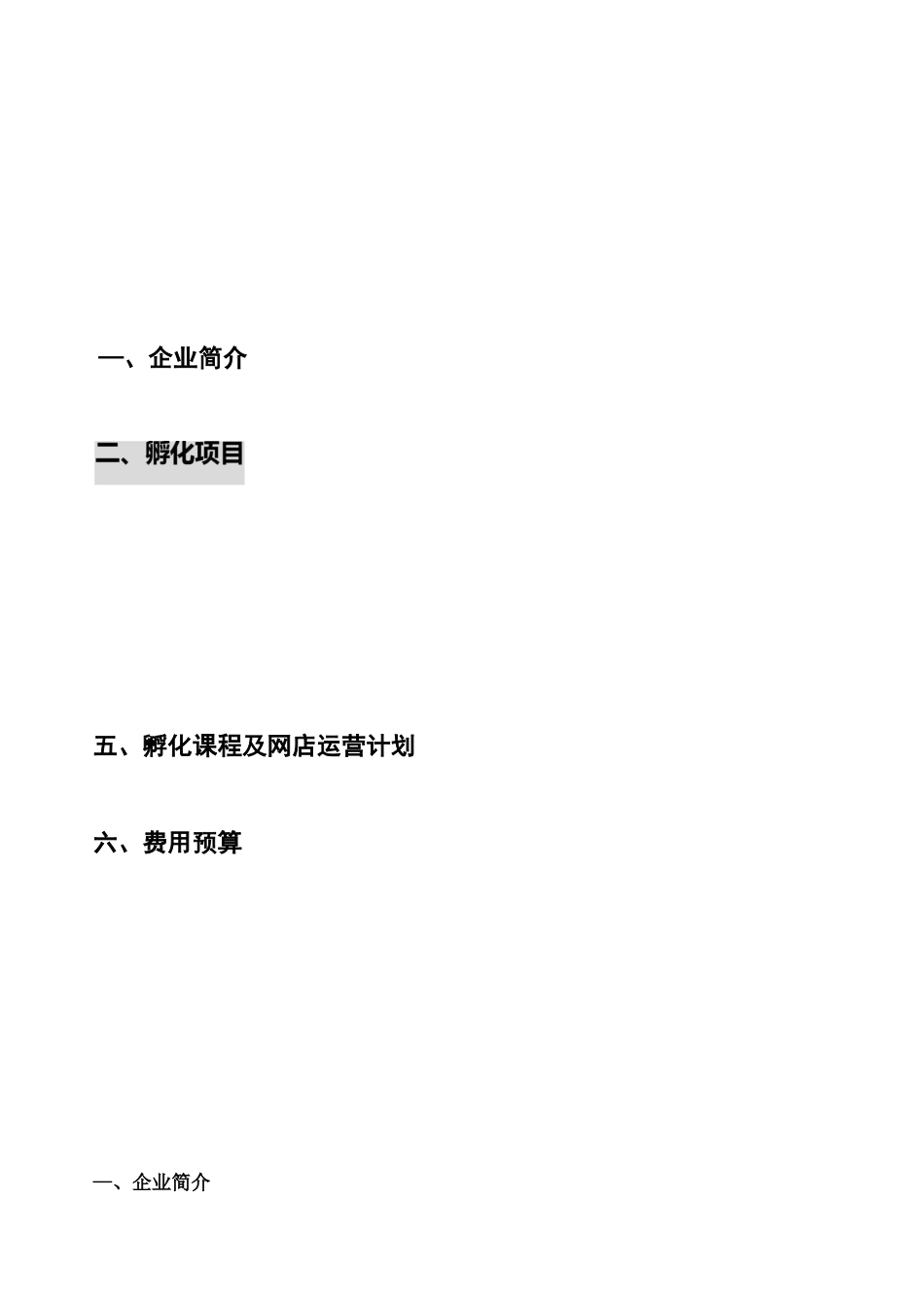 电商孵化及教育培训项目运营方案_第2页