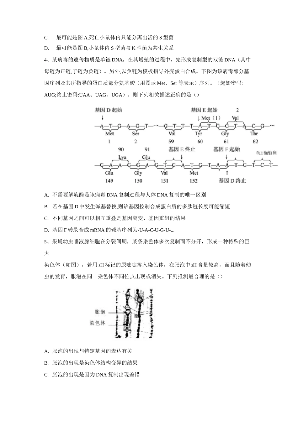 高考生物总复习同步练习-基因的本质与基因的表达综合_第2页