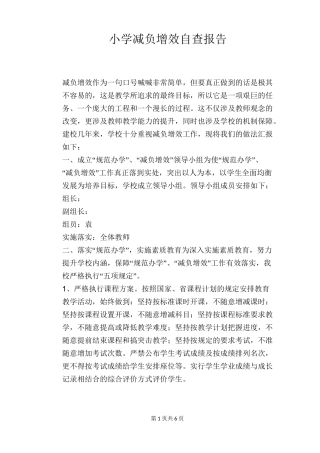 小学减负增效自查报告