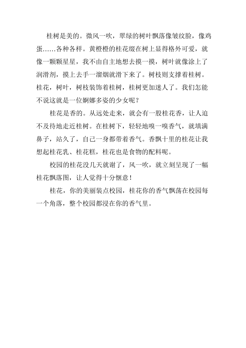 桂花的观察日记_第3页