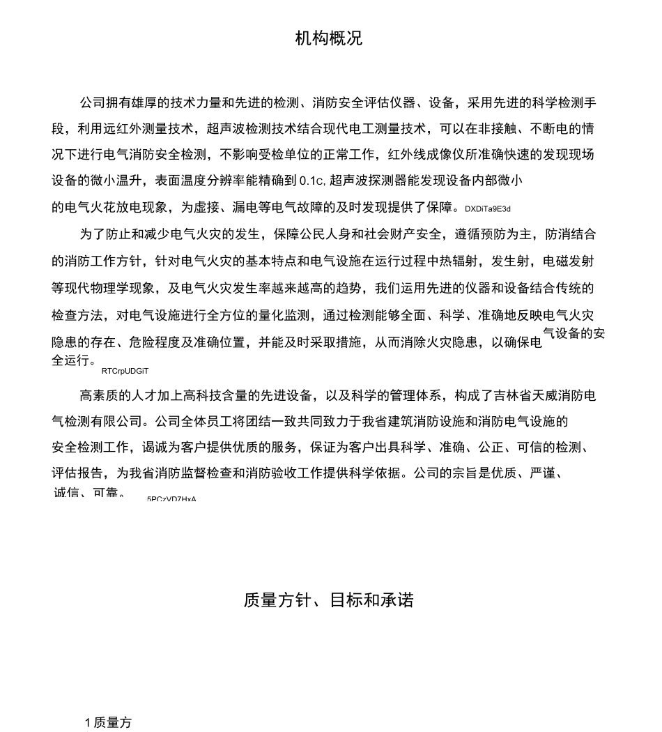 消防安全评估控制体系_第3页