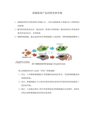 溶瘤病毒产品的研发和申报