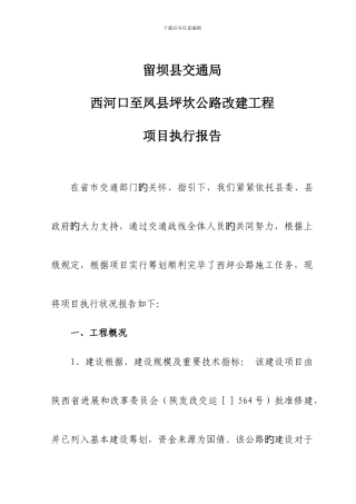 项目项目执行情况总结