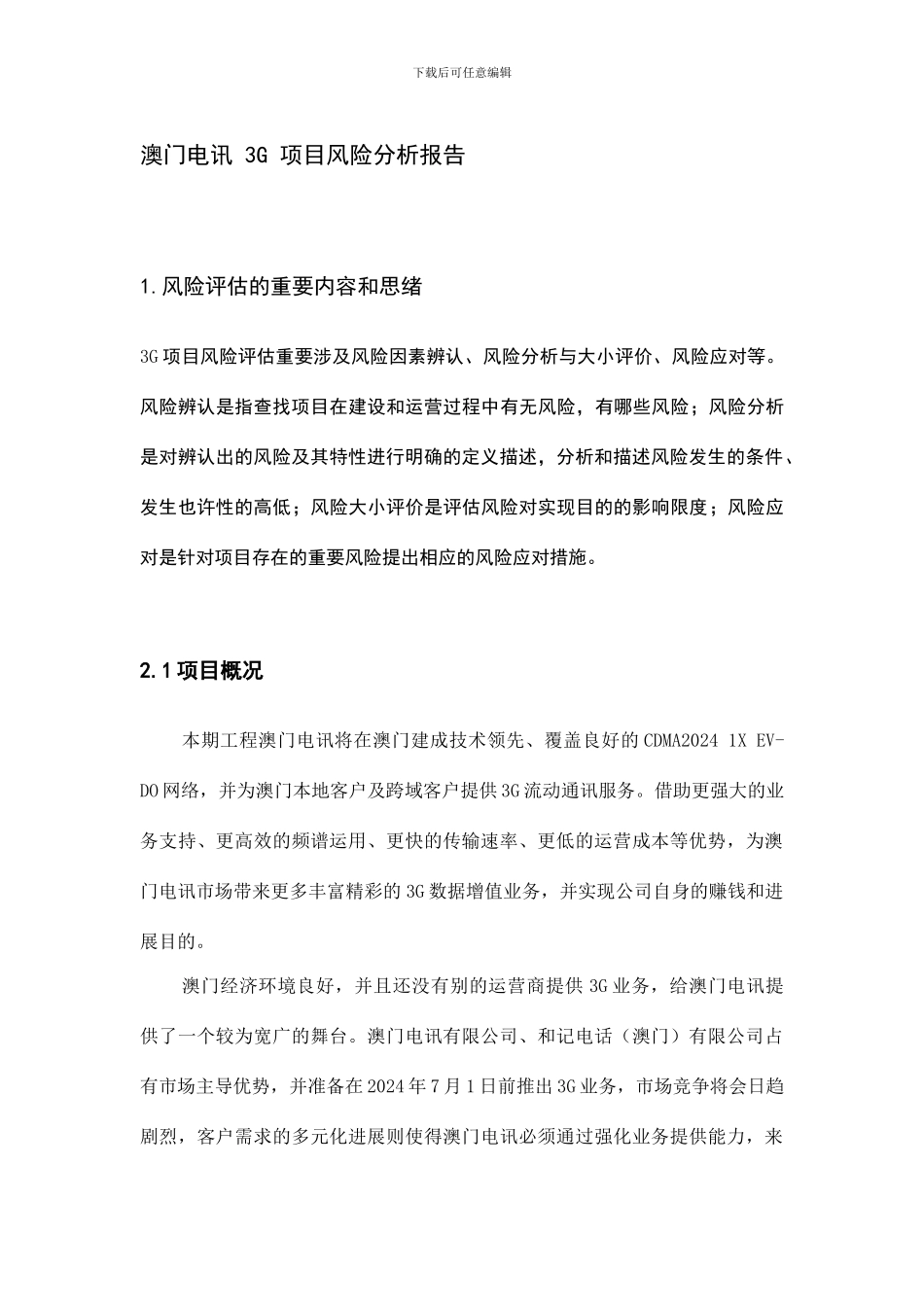 项目风险分析报告_第1页