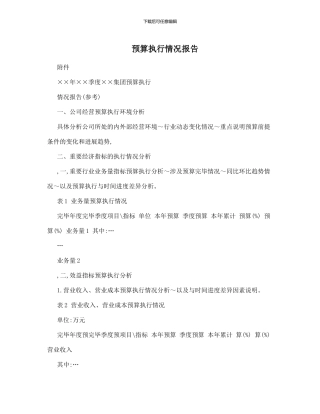 预算执行情况报告