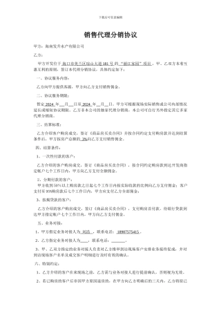 个人-销售代理分销协议