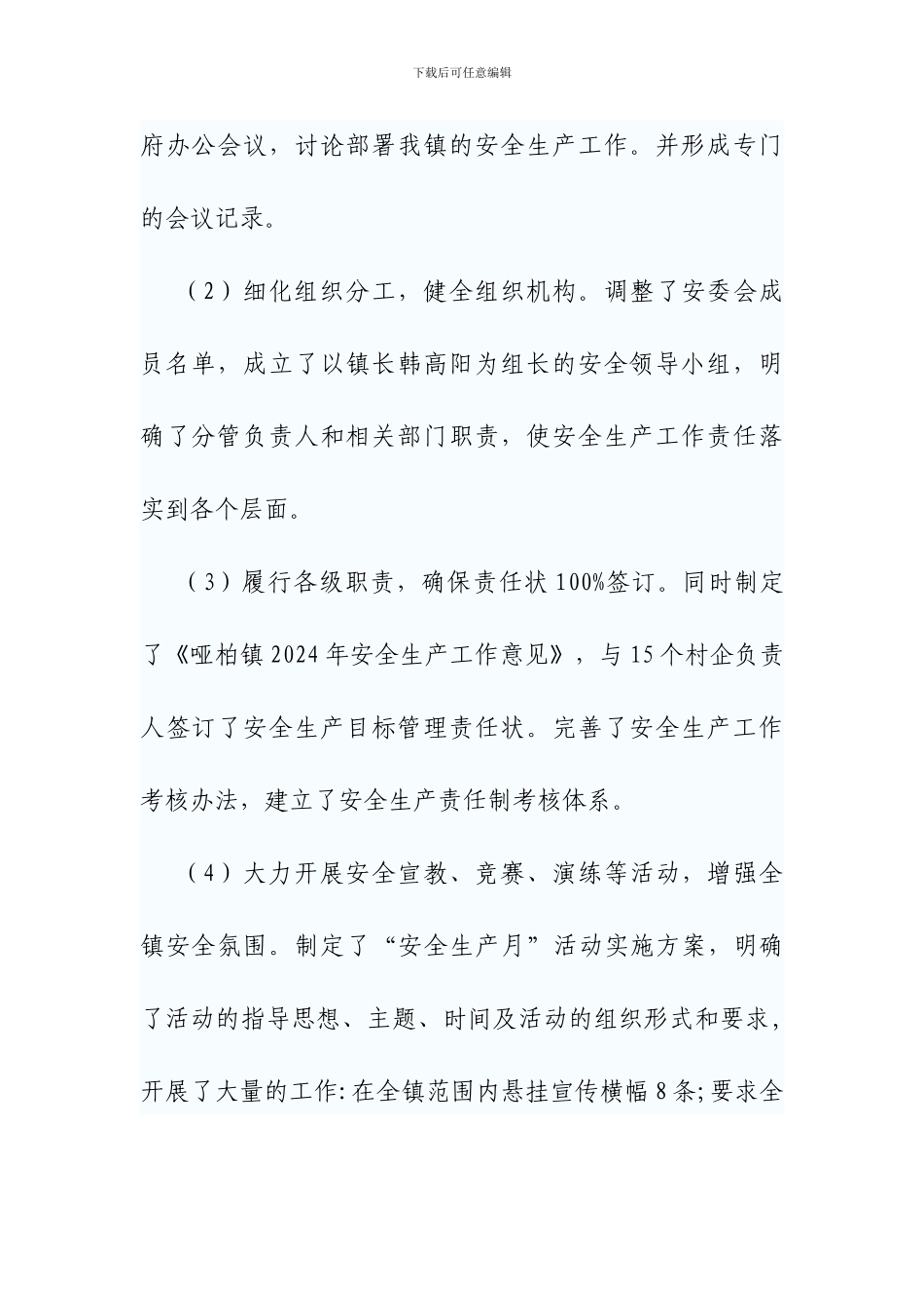 乡镇安监办工作总结_第2页