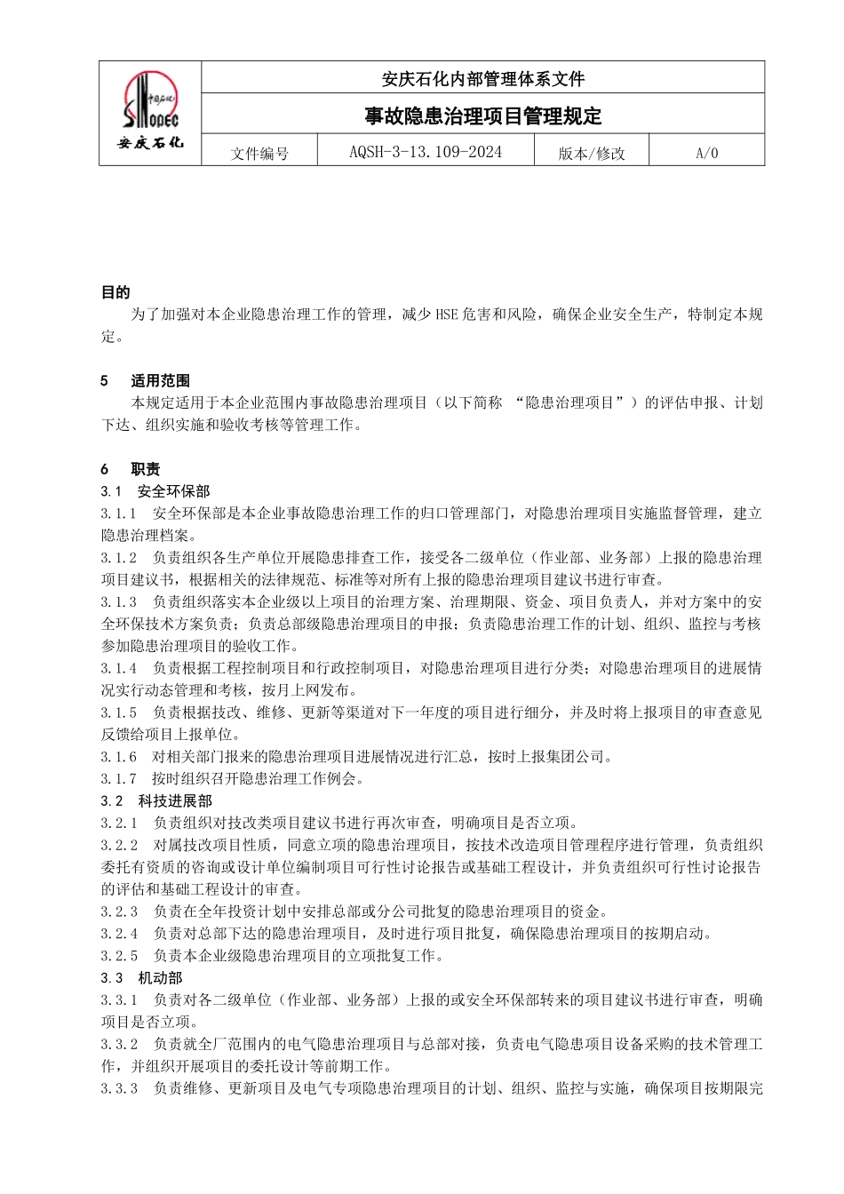 事故隐患治理项目管理规定_第1页