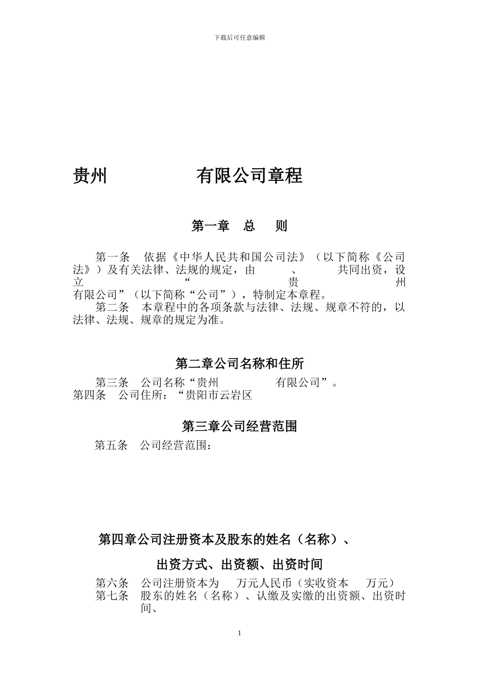 二人公司章程及任命书_第1页