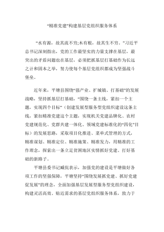 “精准党建”构建基层党组织服务体系