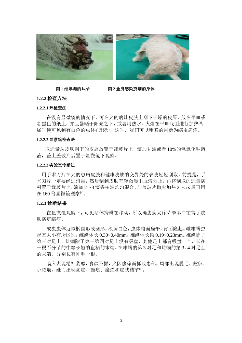 一例犬疥螨病的诊断、治疗与预防_第3页