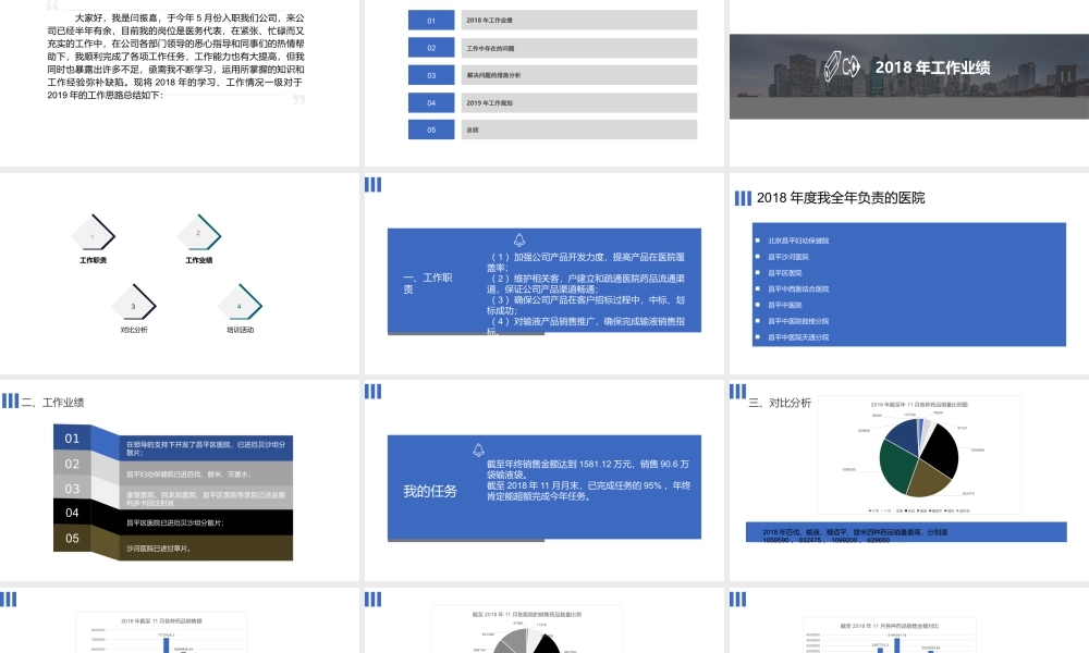 医药科技有限公司  年度工作总结