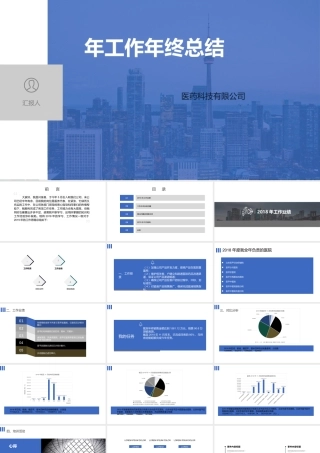 医药科技有限公司  年度工作总结