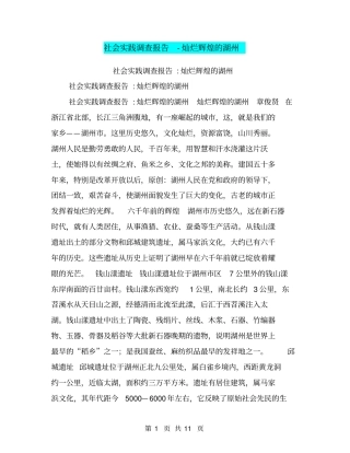 社会实践调查报告-灿烂辉煌的湖州【可编辑版】