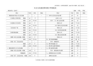 社会文化建设况统计季度报表