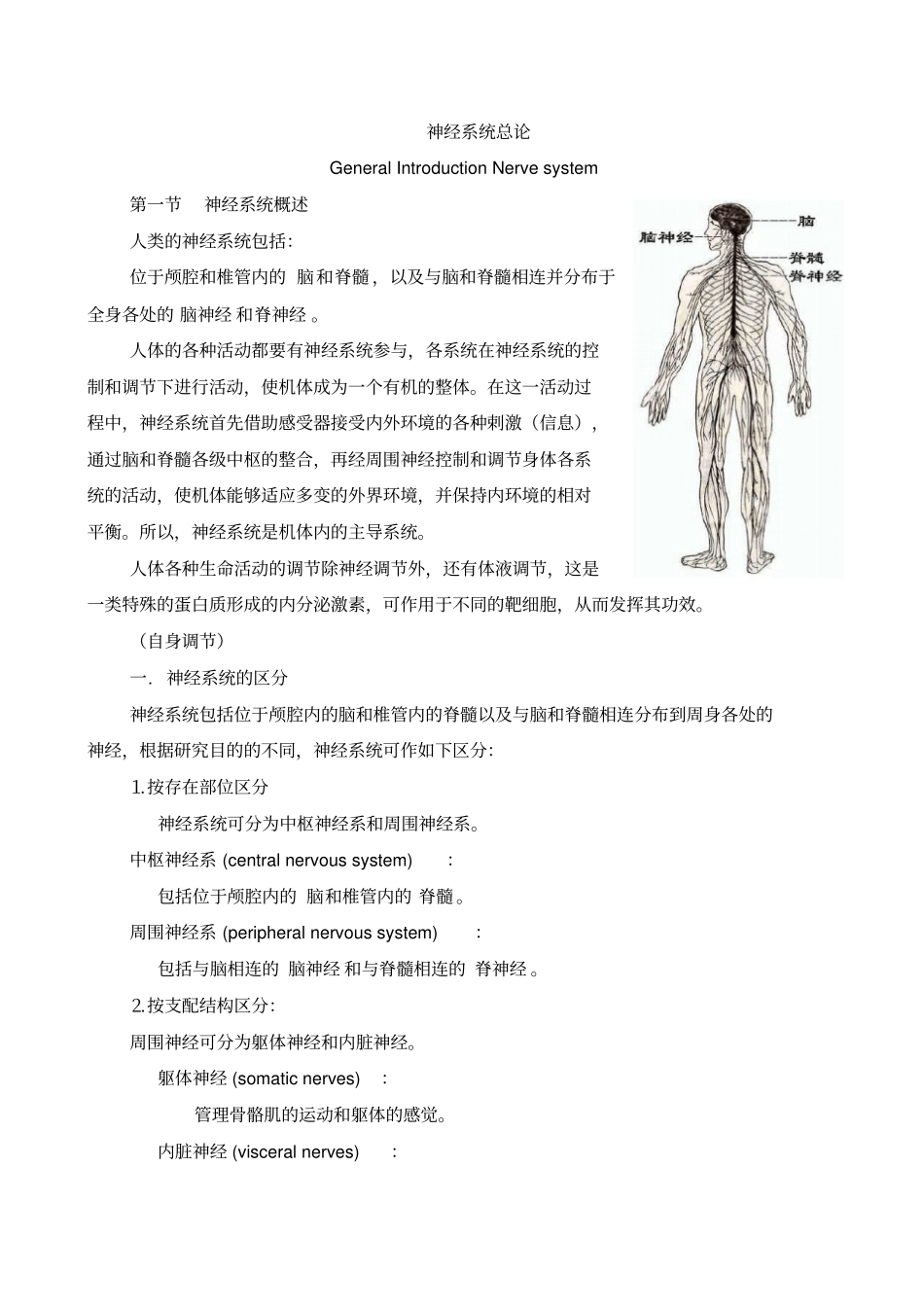 神经系统总论_第1页