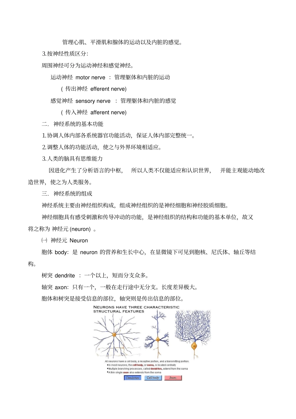 神经系统总论_第2页