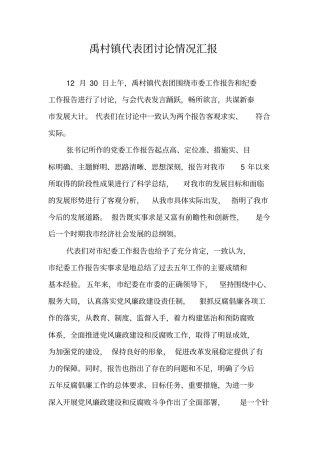 禹村镇代表团讨论情况汇报
