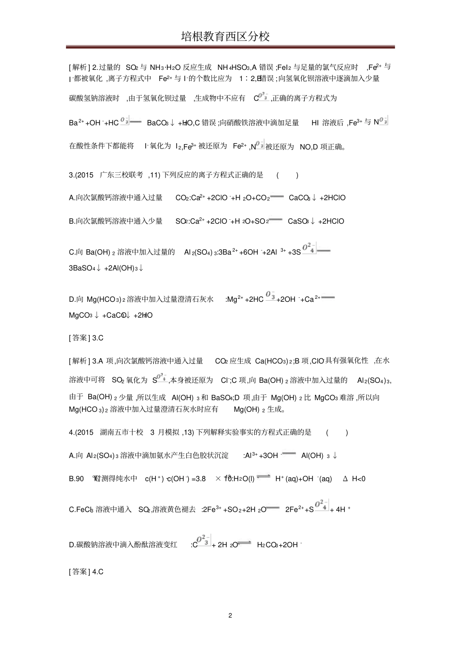 离子反应专项资料_第2页
