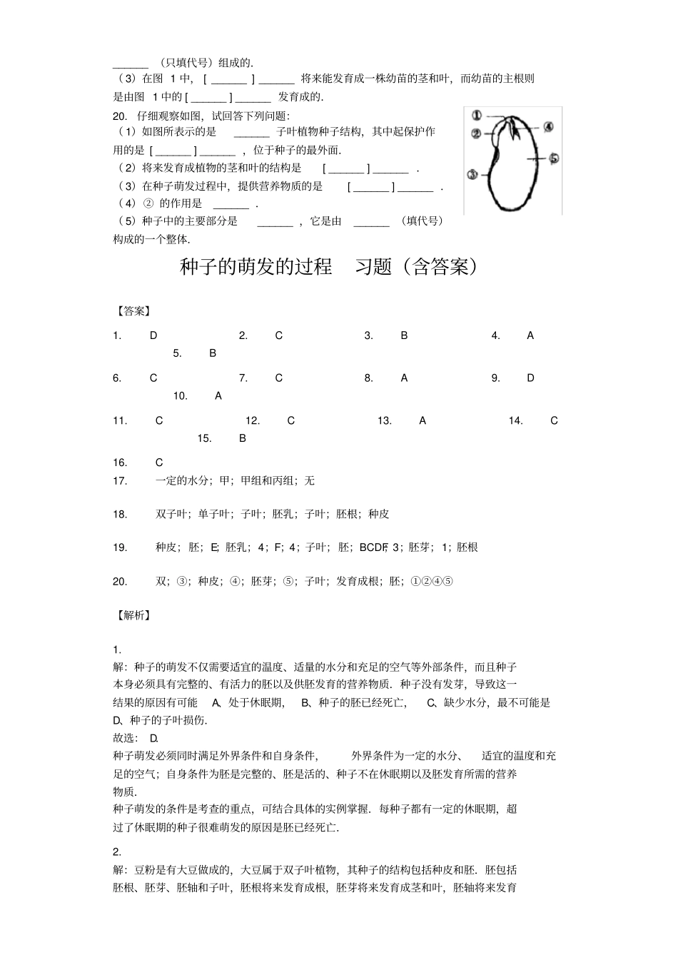 种子的萌发的过程习题_第3页