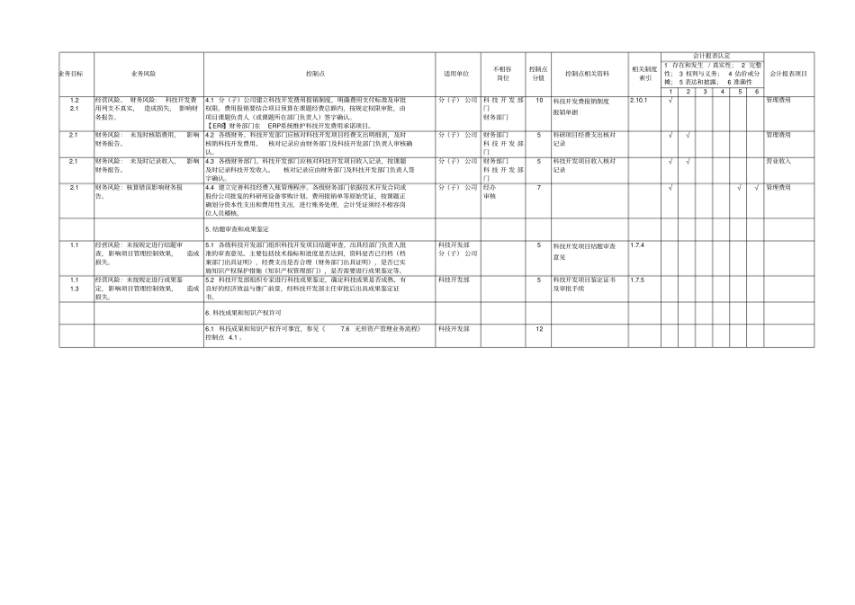 科技开发费管理业务内部控制矩阵_第2页