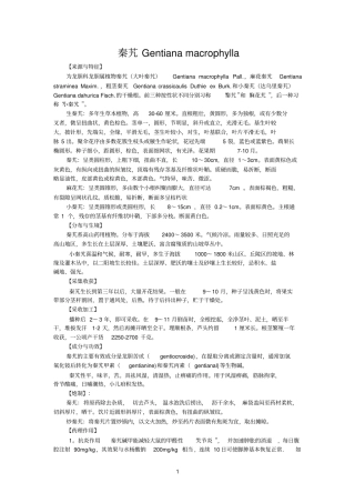 秦艽Gentianamacrophylla