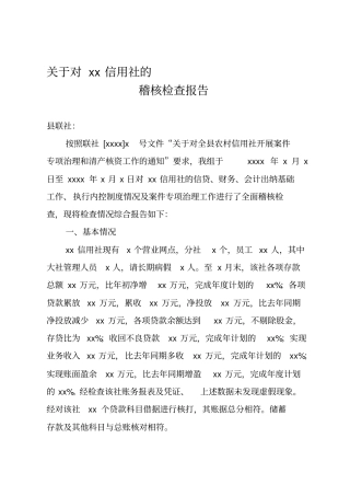 稽核检查报告范本