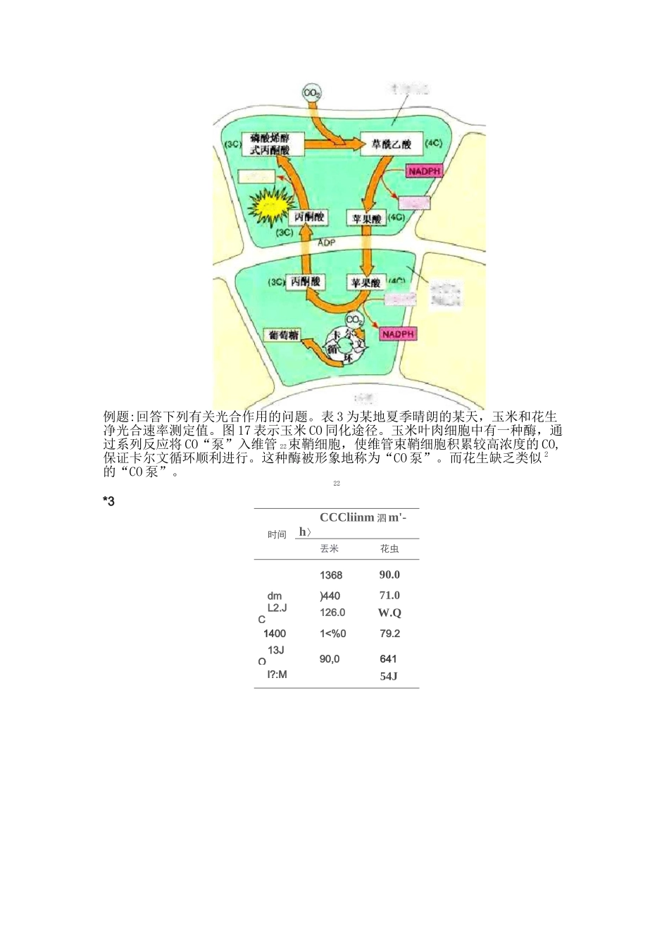 光合作用之碳同化途径_第3页