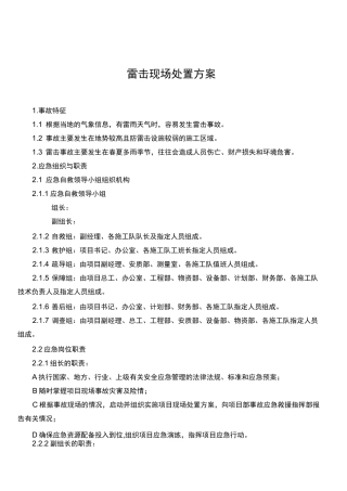 雷击现场处置方案