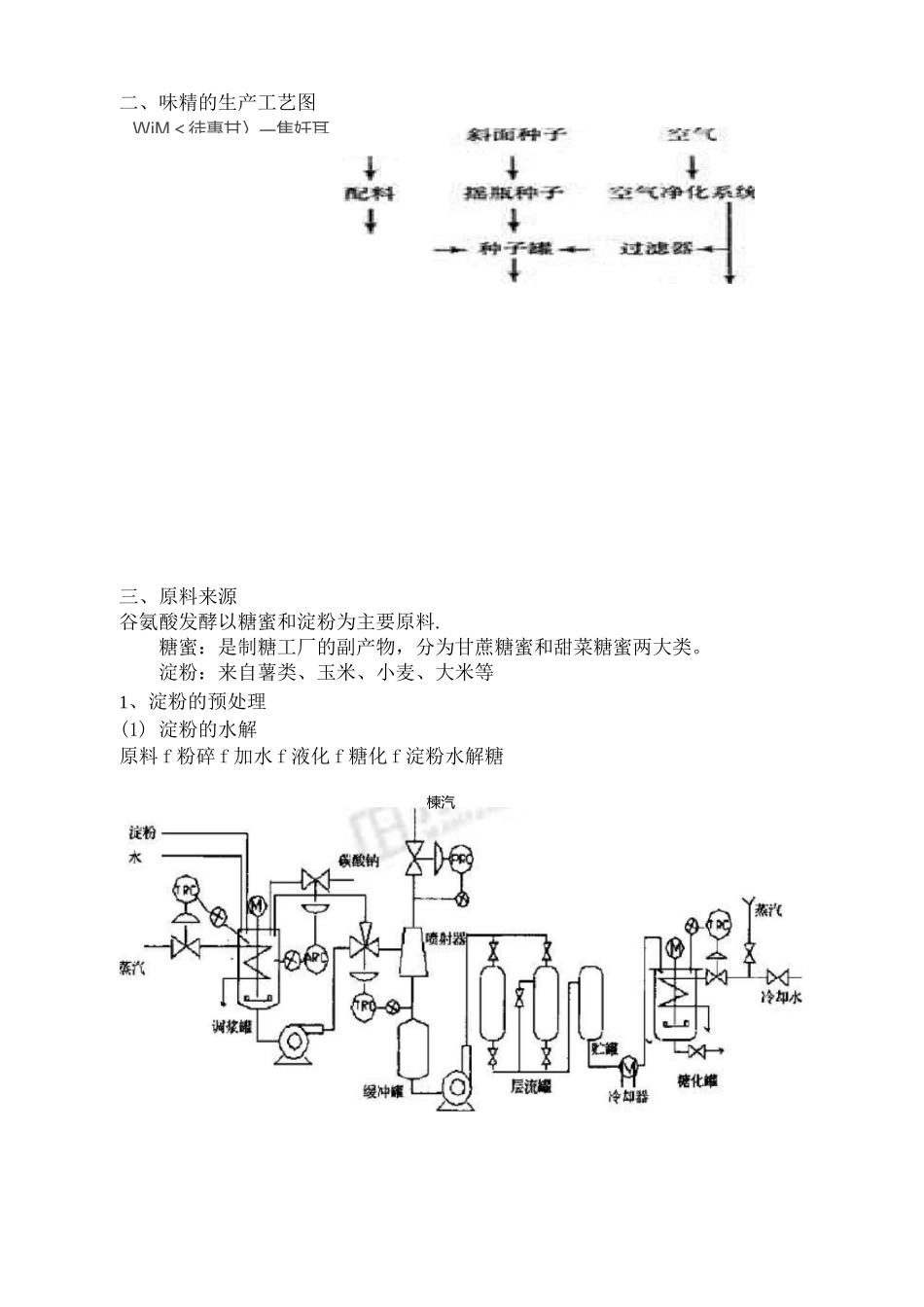 味精的工艺流程_第2页