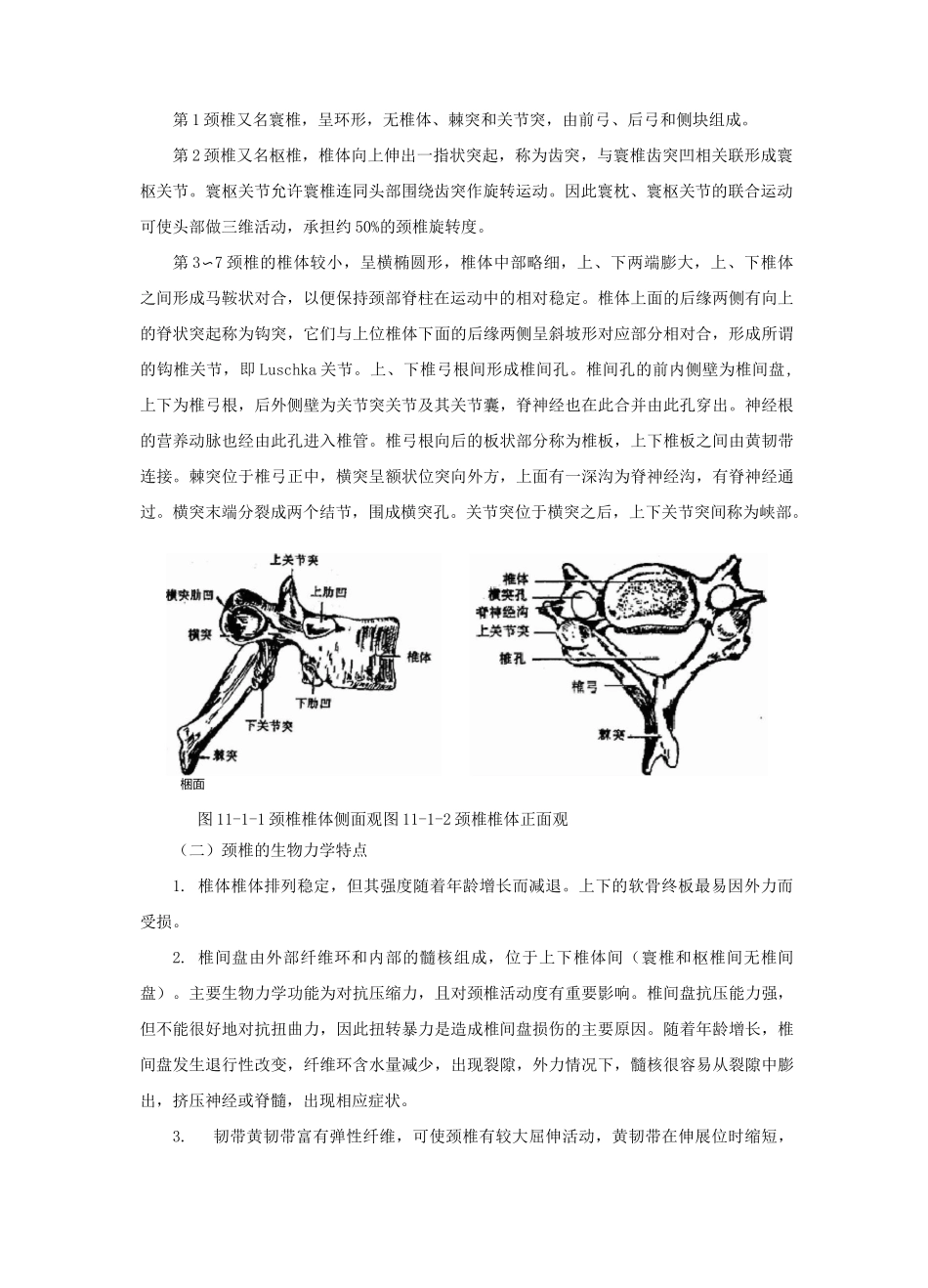 颈椎病的康复_第2页