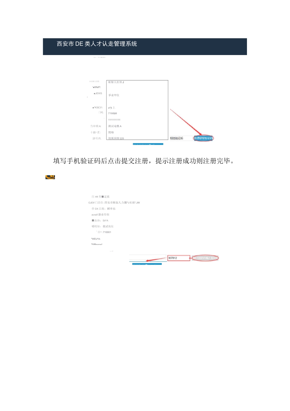 西安DE类人才认定管理系统_第2页