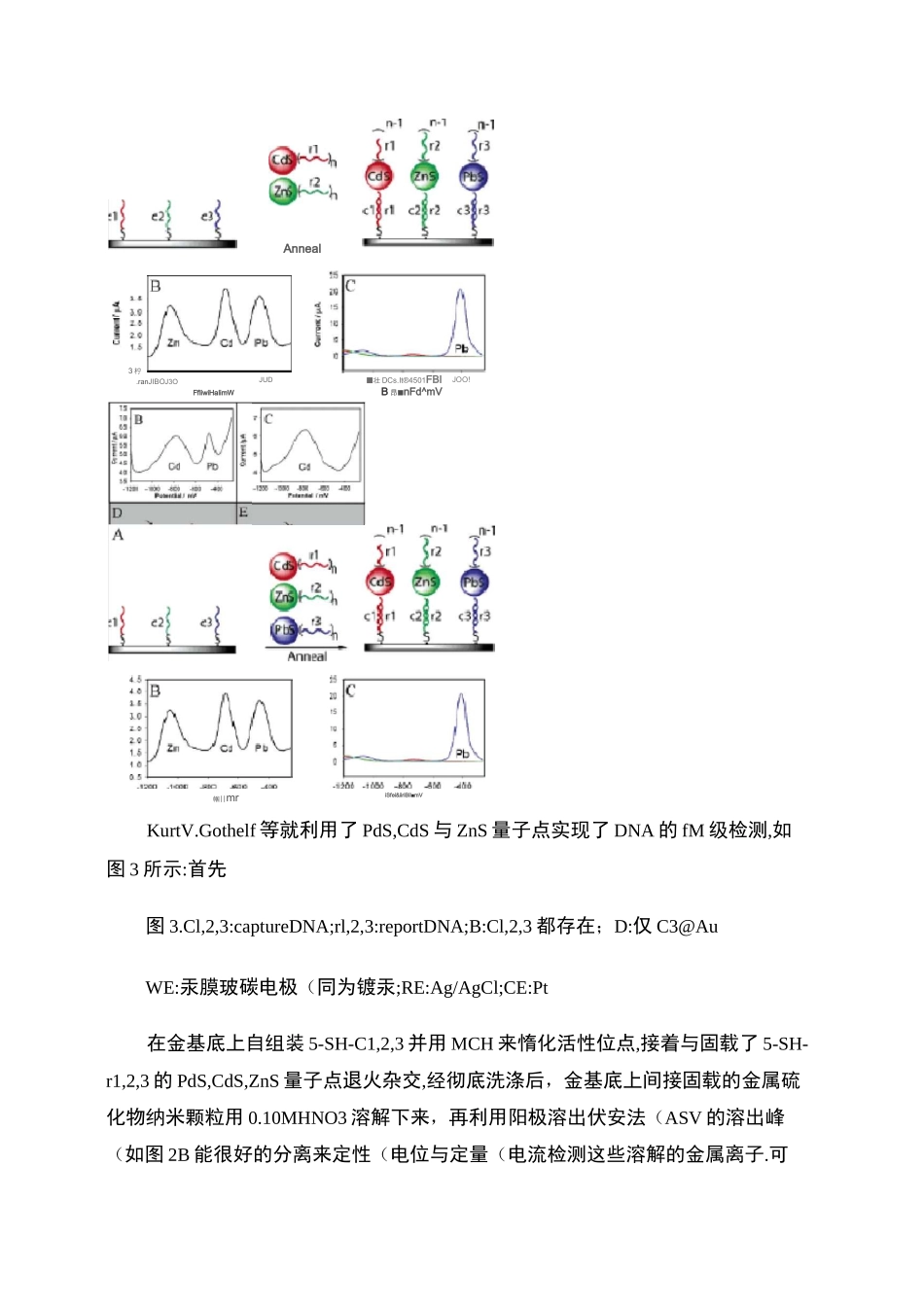 DNA电化学传感器._第3页