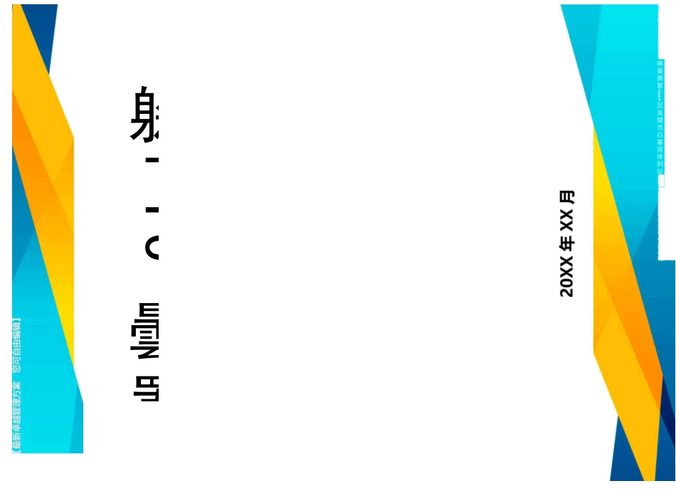 (交通运输)交通组织方案精编_第2页