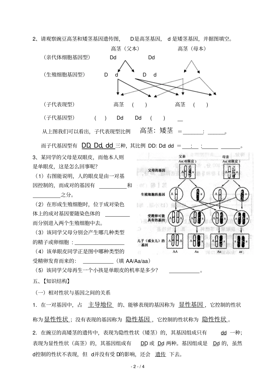 章基因显性和隐性教学案_第2页